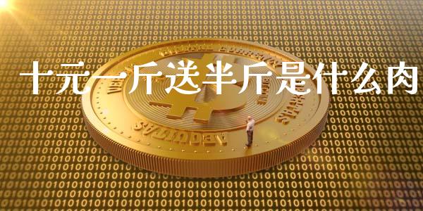 十元一斤送半斤是什么肉_https://m.15771688.com_美国道指_第1张