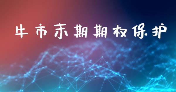 牛市末期期权保护_https://m.15771688.com_美国道指_第1张