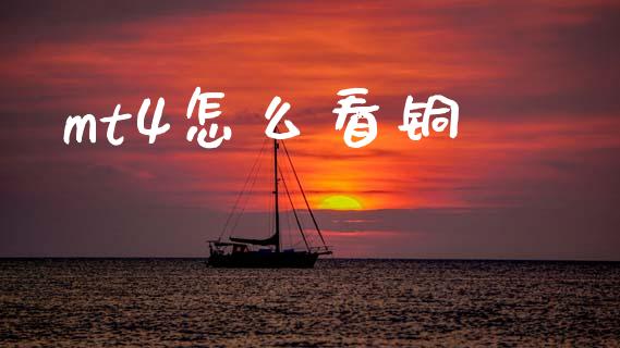 mt4怎么看铜_https://m.15771688.com_期货开户_第1张