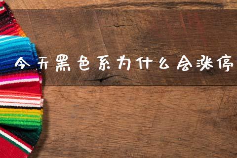 今天黑色系为什么会涨停_https://m.15771688.com_道指实时行情_第1张