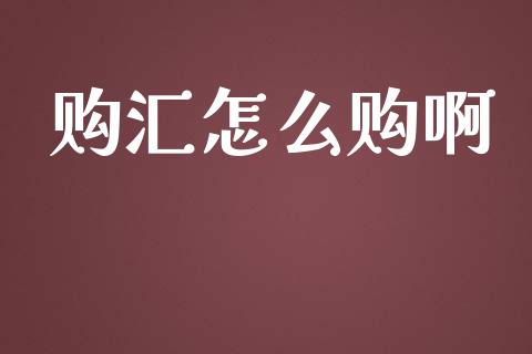 购汇怎么购啊_https://m.15771688.com_道指实时行情_第1张