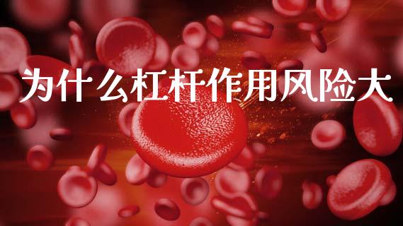为什么杠杆作用风险大_https://m.15771688.com_期货开户_第1张