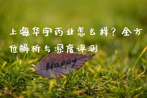 上海华宇药业怎么样？全方位解析与深度评测_https://m.15771688.com_期货开户_第1张