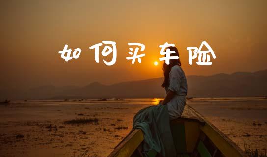 如何买车险_https://m.15771688.com_期货手续费_第1张