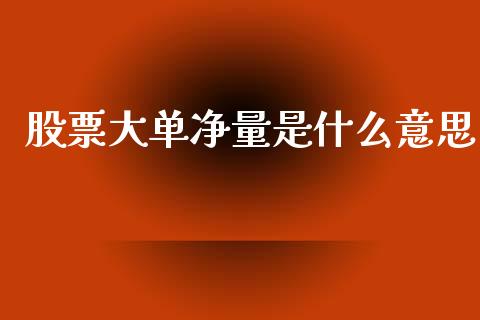 股票大单净量是什么意思_https://m.15771688.com_期货手续费_第1张