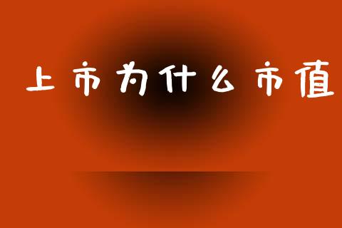 上市为什么市值_https://m.15771688.com_期货开户_第1张
