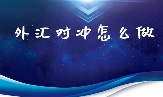 外汇对冲怎么做_https://m.15771688.com_期货手续费_第1张