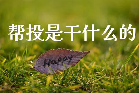 帮投是干什么的_https://m.15771688.com_美国道指_第1张