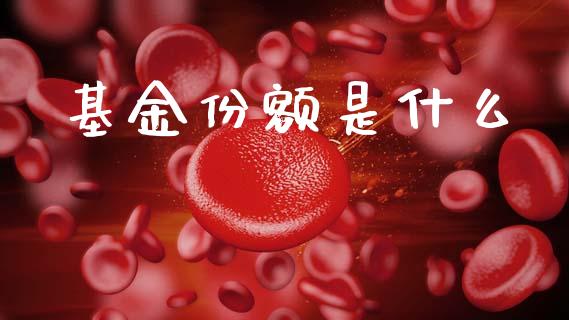 基金份额是什么_https://m.15771688.com_道指实时行情_第1张