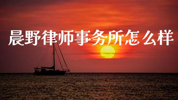 晨野律师事务所怎么样_https://m.15771688.com_期货开户_第1张