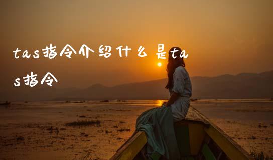 tas指令介绍什么是tas指令_https://m.15771688.com_期货手续费_第1张