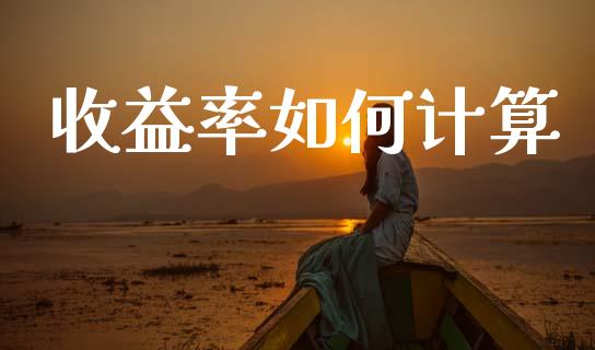收益率如何计算_https://m.15771688.com_期货手续费_第1张