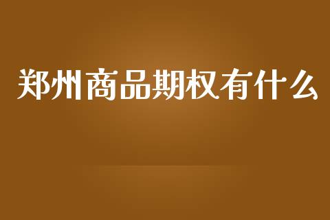 郑州商品期权有什么_https://m.15771688.com_道指实时行情_第1张