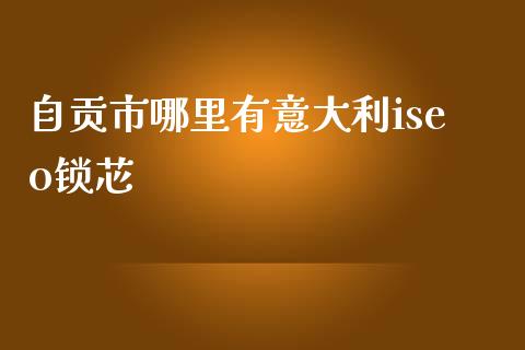 自贡市哪里有意大利iseo锁芯_https://m.15771688.com_期货手续费_第1张