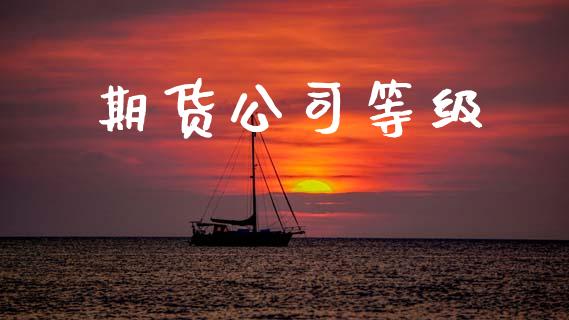 期货公司等级_https://m.15771688.com_期货手续费_第1张