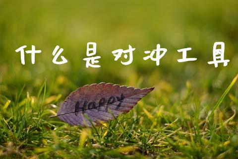什么是对冲工具_https://m.15771688.com_道指实时行情_第1张