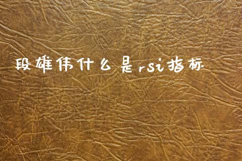段雄伟什么是rsi指标_https://m.15771688.com_道指实时行情_第1张