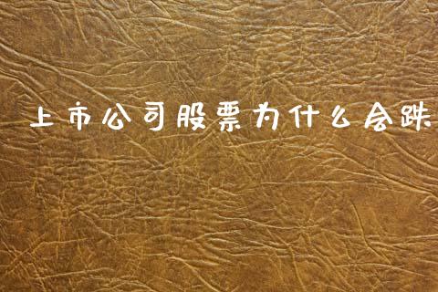 上市公司股票为什么会跌_https://m.15771688.com_期货开户_第1张