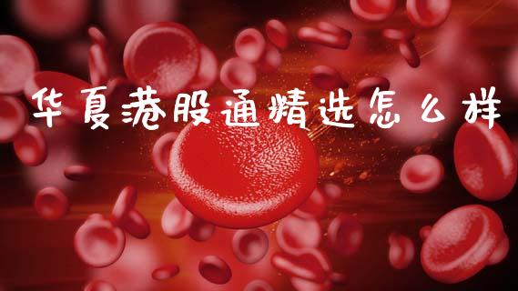 华夏港股通精选怎么样_https://m.15771688.com_道指实时行情_第1张