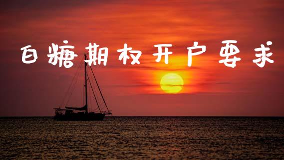 白糖期权开户要求_https://m.15771688.com_道指实时行情_第1张