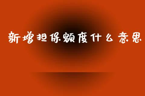 新增担保额度什么意思_https://m.15771688.com_道指实时行情_第1张
