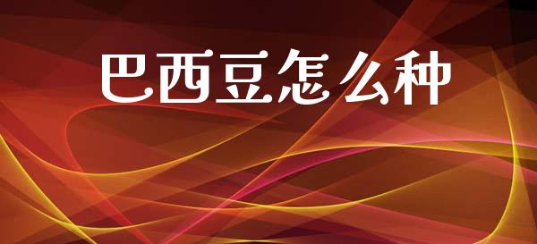巴西豆怎么种_https://m.15771688.com_期货手续费_第1张