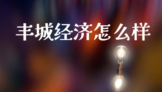 丰城经济怎么样_https://m.15771688.com_美国道指_第1张