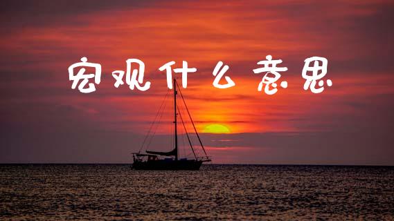 宏观什么意思_https://m.15771688.com_期货开户_第1张