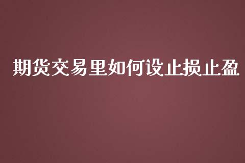期货交易里如何设止损止盈_https://m.15771688.com_期货手续费_第1张