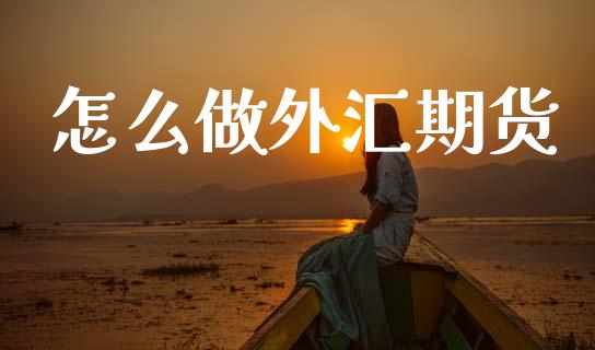怎么做外汇期货_https://m.15771688.com_期货开户_第1张