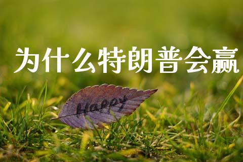 为什么特朗普会赢_https://m.15771688.com_美国道指_第1张