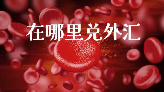 在哪里兑外汇_https://m.15771688.com_期货手续费_第1张