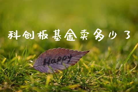 科创板基金卖多少了_https://m.15771688.com_道指实时行情_第1张