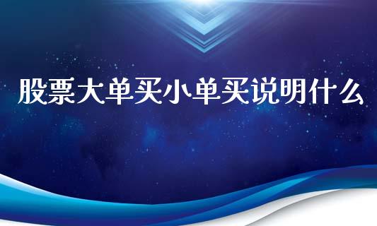 股票大单买小单买说明什么_https://m.15771688.com_美国道指_第1张