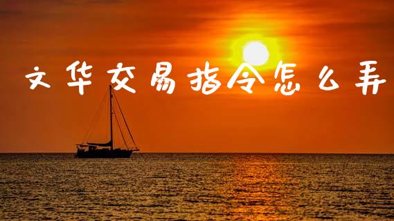 文华交易指令怎么弄_https://m.15771688.com_美国道指_第1张