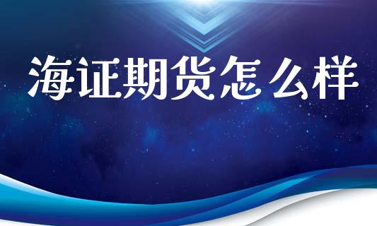 海证期货怎么样_https://m.15771688.com_期货手续费_第1张