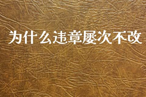 为什么违章屡次不改_https://m.15771688.com_期货手续费_第1张