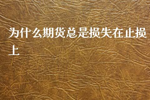 为什么期货总是损失在止损上_https://m.15771688.com_期货手续费_第1张