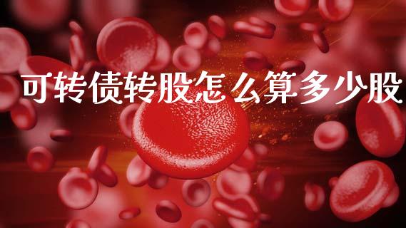 可转债转股怎么算多少股_https://m.15771688.com_期货手续费_第1张