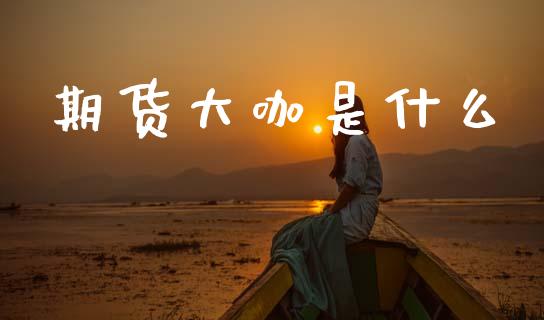 期货大咖是什么_https://m.15771688.com_美国道指_第1张