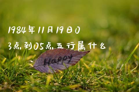 1984年11月19日03点到05点五行属什么_https://m.15771688.com_美国道指_第1张