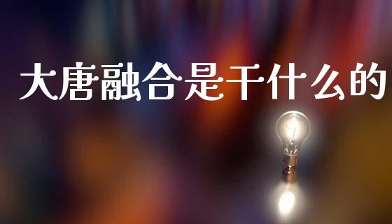 大唐融合是干什么的_https://m.15771688.com_美国道指_第1张