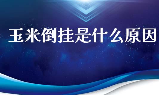 玉米倒挂是什么原因_https://m.15771688.com_期货手续费_第1张