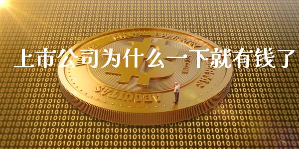 上市公司为什么一下就有钱了_https://m.15771688.com_期货手续费_第1张