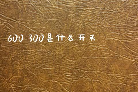 600 300是什么开头_https://m.15771688.com_期货开户_第1张