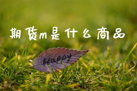 期货m是什么商品_https://m.15771688.com_期货手续费_第1张