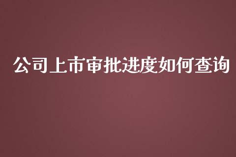 公司上市审批进度如何查询_https://m.15771688.com_道指实时行情_第1张