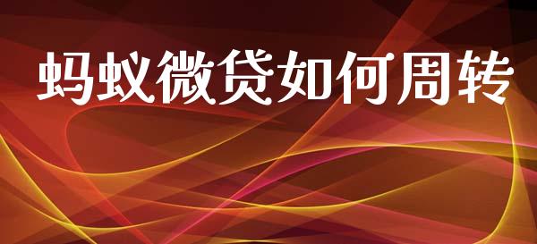 蚂蚁微贷如何周转_https://m.15771688.com_美国道指_第1张