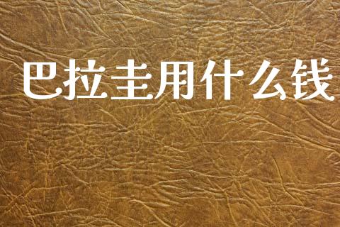巴拉圭用什么钱_https://m.15771688.com_期货开户_第1张