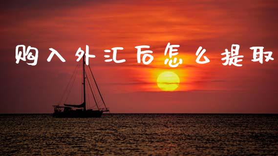 购入外汇后怎么提取_https://m.15771688.com_美国道指_第1张